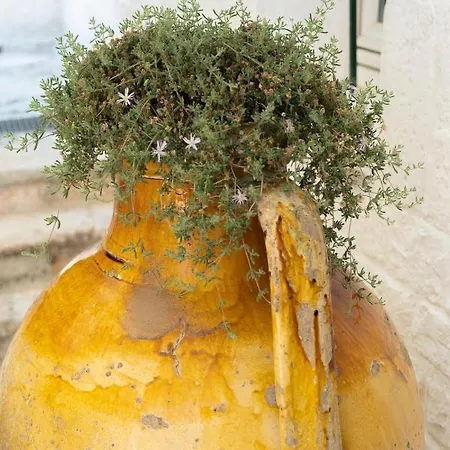 Trulli Con Piscina Privata Il Torchio מרטינה פרנקה