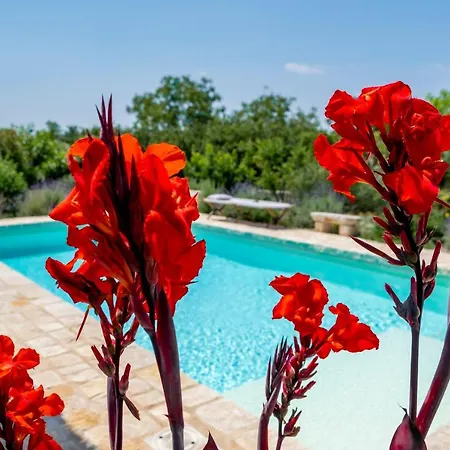 Appartement Trulli Con Piscina Privata Il Torchio Martina Franca
